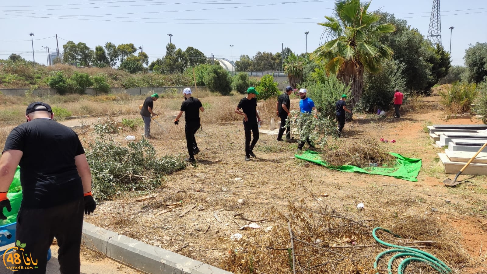 WhatsApp Image 2023-06-17 at 3.38.57 PM (1).jpeg